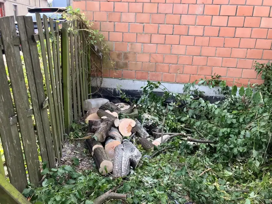 Abattage & élagage d’arbres