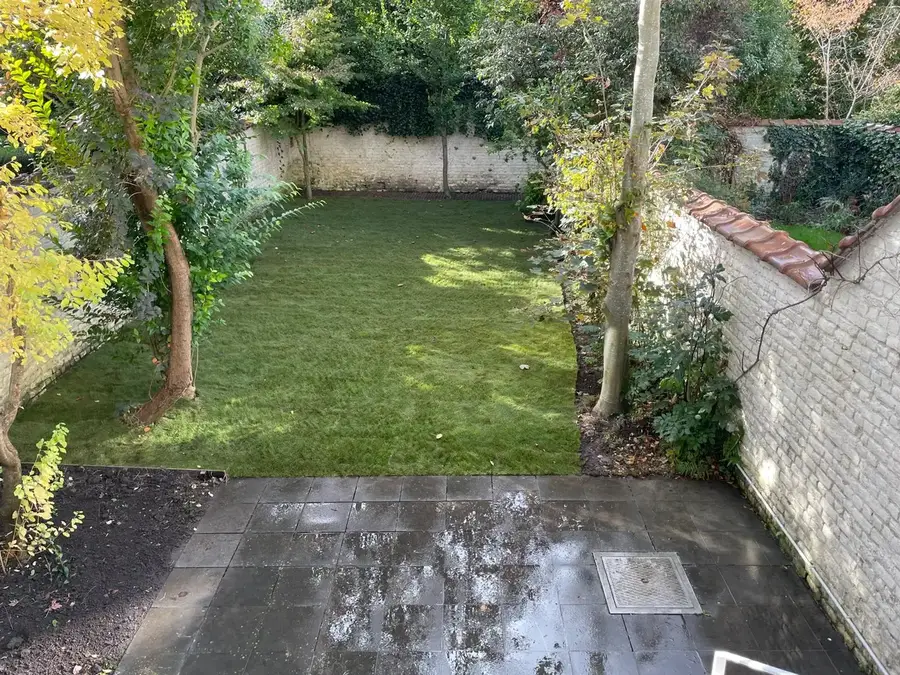 Création de pelouses