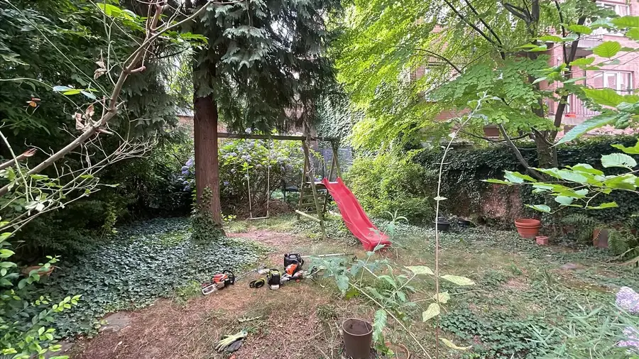 Remise en état de jardin